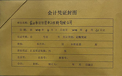 记账报税 案例展示