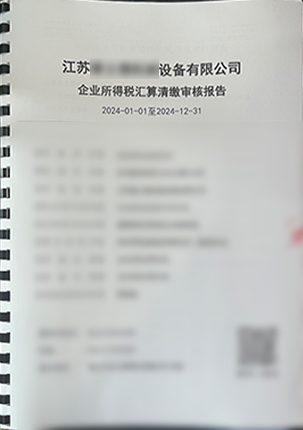 审计/税审/评估 案例展示